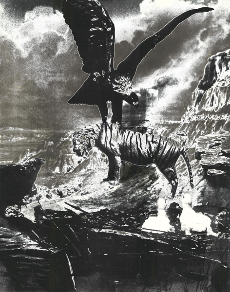 adelaar-tijger (foto-experiment van franka waaldijk)
