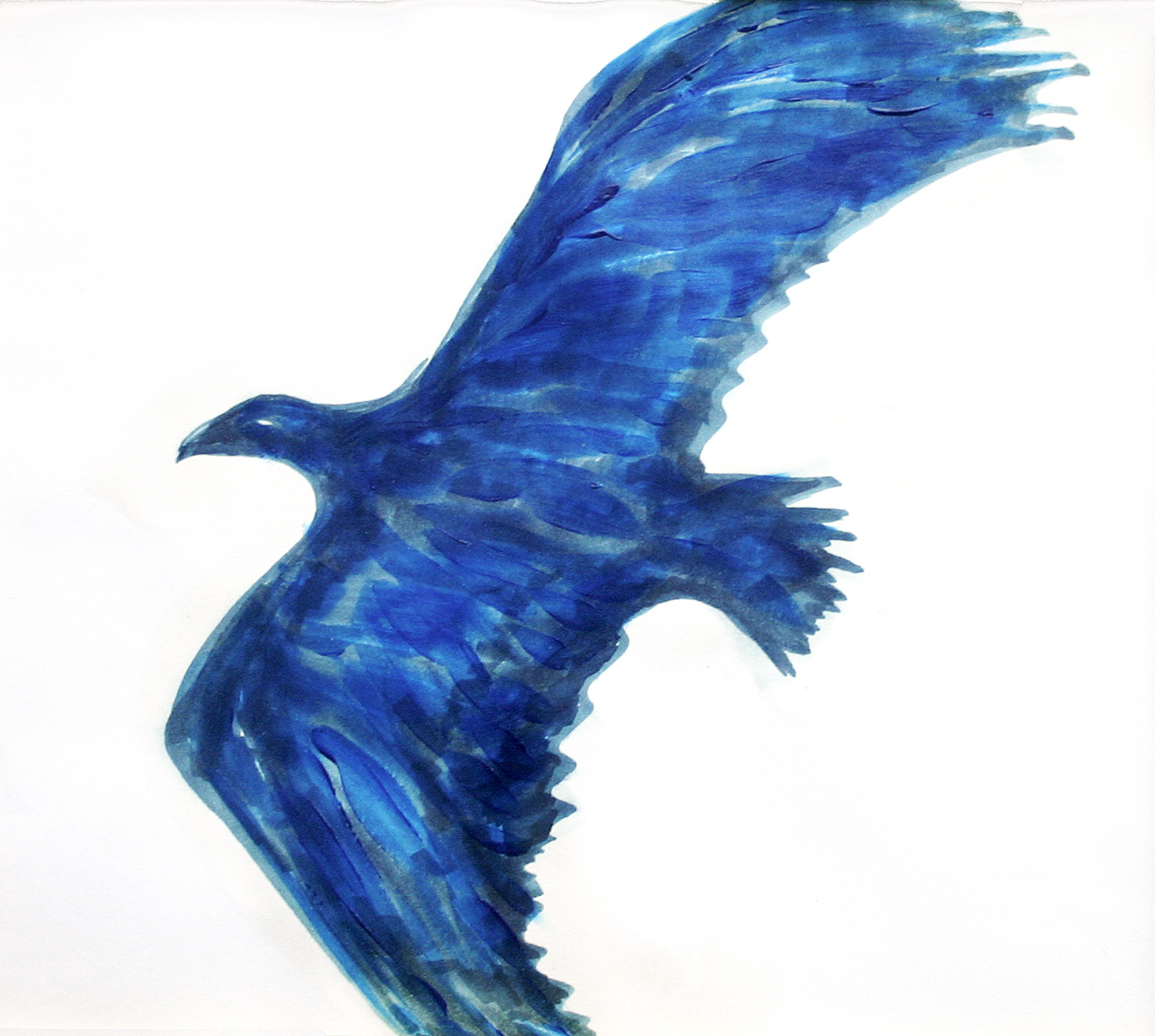 eagle (drawing by franka waaldijk)