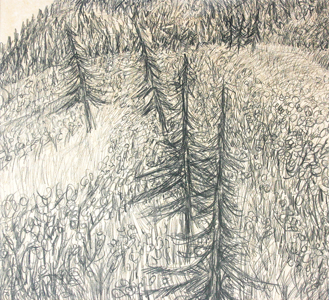 pine hill in luxembourg (drawing by franka waaldijk)