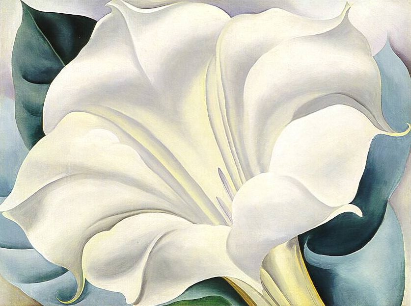Georgia O'Keeffe, white trumpet flower